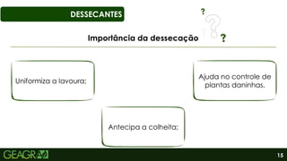 15
DESSECANTES
Importância da dessecação
Uniformiza a lavoura;
Antecipa a colheita;
Ajuda no controle de
plantas daninhas.
 