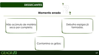 17
DESSECANTES
Momento errado
Não acúmulo de matéria
seca por completo;
Contamina os grãos;
Debulha espigas já
formadas.
 