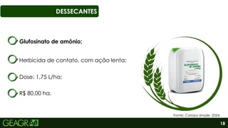 18
DESSECANTES
Glufosinato de amônio;
Dose: 1,75 L/ha;
Herbicida de contato, com ação lenta;
Fonte: Campo simple, 2024.
R$ 80,00 ha.
 