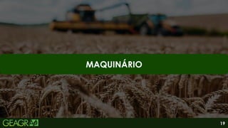 19
MAQUINÁRIO
 