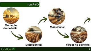 2
Momento
da colheita;
Dessecantes;
Maquinário;
Perdas na colheita;
SUMÁRIO
 