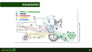 20
MAQUINÁRIO
Fonte:
Revista
Cultivar,
2024.
 