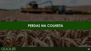 25
PERDAS NA COLHEITA
 