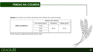 27
PERDAS NA COLHEITA
Fonte: Maurício Dalbeti & Ricardo Shmitz, 2021.
Quadro 1. Amostra em 24,5ha de perdas pré-colheita da cultura do trigo.
 