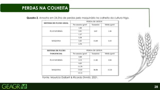 28
PERDAS NA COLHEITA
Fonte: Maurício Dalbeti & Ricardo Shmitz, 2021.
Quadro 2. Amostra em 24,5ha de perdas pelo maquinário na colheita da cultura trigo.
 