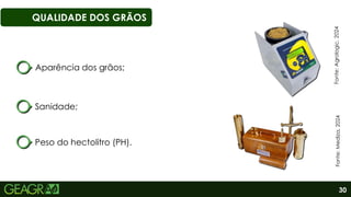 30
QUALIDADE DOS GRÃOS
Aparência dos grãos;
Sanidade;
Peso do hectolitro (PH).
Fonte:
Agrologic,
2024
Fonte:
Mediza,
2024
 