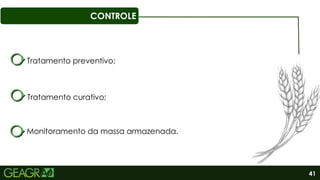 41
CONTROLE
Tratamento curativo;
Tratamento preventivo;
Monitoramento da massa armazenada.
 