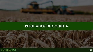 42
RESULTADOS DE COLHEITA
 