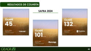 43
RESULTADOS DE COLHEITA
SAFRA 2024
 