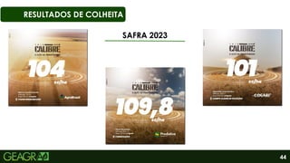 44
RESULTADOS DE COLHEITA
SAFRA 2023
 