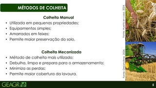 5
MÉTODOS DE COLHEITA
Fonte:
Huerto
en
casa,
2024.
Fonte:
Dreamstime,
2024.
Colheita Mecanizada
• Método de colheita mais utilizado;
• Debulha, limpa e prepara para o armazenamento;
• Minimiza as perdas;
• Permite maior cobertura da lavoura.
Colheita Manual
• Utilizada em pequenas propriedades;
• Equipamentos simples;
• Amarrados em feixes;
• Permite maior preservação do solo.
 