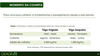 6
MOMENTO DA COLHEITA
Para uma boa colheita, é fundamental o planejamento desde o pré-plantio.
Trigo Irrigado Trigo Sequeiro
Semeadura Abril – Maio Janeiro - Fevereiro
Colheita Agosto - Setembro Maio - Junho
Média de colheita 2.500 kg/ha 1.000 kg/ha
Fonte: Embrapa, 1999. Elaborado por: Eduarda Ornelas, 2024.
Tabela 1. Semeadura, colheita e produtividade média dos cultivos de trigo no cerrado.
 