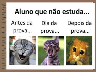 E o aluno que não estuda?
 