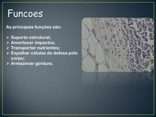 As principais funções são:
 Suporte estrutural;
 Amortecer impactos;
 Transportar nutrientes;
 Espalhar células de defesa pelo
corpo;
 Armazenar gordura.
 