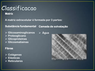 Matriz
A matriz extracelular é formada por 3 partes:
Substância fundamental
 Glicosaminoglicanos
 Proteoglicano
 Glicoproteínas
 Glicosmatiaínas
Fibras
 Colágenas
 Elásticas
 Reticulares
Camada de solvatação
 Água
 