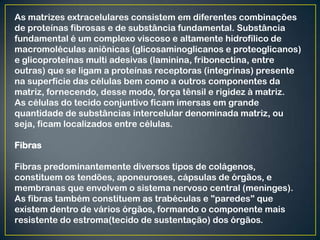 As matrizes extracelulares consistem em diferentes combinações
de proteínas fibrosas e de substância fundamental. Substância
fundamental é um complexo viscoso e altamente hidrofílico de
macromoléculas aniônicas (glicosaminoglicanos e proteoglicanos)
e glicoproteínas multi adesivas (laminina, fribonectina, entre
outras) que se ligam a proteínas receptoras (integrinas) presente
na superfície das células bem como a outros componentes da
matriz, fornecendo, desse modo, força tênsil e rigidez à matriz.
As células do tecido conjuntivo ficam imersas em grande
quantidade de substâncias intercelular denominada matriz, ou
seja, ficam localizados entre células.
Fibras
Fibras predominantemente diversos tipos de colágenos,
constituem os tendões, aponeuroses, cápsulas de órgãos, e
membranas que envolvem o sistema nervoso central (meninges).
As fibras também constituem as trabéculas e "paredes" que
existem dentro de vários órgãos, formando o componente mais
resistente do estroma(tecido de sustentação) dos órgãos.
 