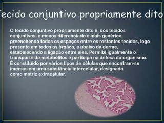 O tecido conjuntivo propriamente dito é, dos tecidos
conjuntivos, o menos diferenciado e mais genérico,
preenchendo todos os espaços entre os restantes tecidos, logo
presente em todos os órgãos, e abaixo da derme,
estabelecendo a ligação entre eles. Permite igualmente o
transporte de metabólitos e participa na defesa do organismo.
É constituído por vários tipos de células que encontram-se
imersas em uma substância intercelular, designada
como matriz extracelular.
 