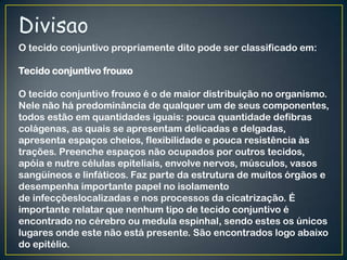 O tecido conjuntivo propriamente dito pode ser classificado em:
Tecido conjuntivo frouxo
O tecido conjuntivo frouxo é o de maior distribuição no organismo.
Nele não há predominância de qualquer um de seus componentes,
todos estão em quantidades iguais: pouca quantidade defibras
colágenas, as quais se apresentam delicadas e delgadas,
apresenta espaços cheios, flexibilidade e pouca resistência às
trações. Preenche espaços não ocupados por outros tecidos,
apóia e nutre células epiteliais, envolve nervos, músculos, vasos
sangüíneos e linfáticos. Faz parte da estrutura de muitos órgãos e
desempenha importante papel no isolamento
de infecçõeslocalizadas e nos processos da cicatrização. É
importante relatar que nenhum tipo de tecido conjuntivo é
encontrado no cérebro ou medula espinhal, sendo estes os únicos
lugares onde este não está presente. São encontrados logo abaixo
do epitélio.
 