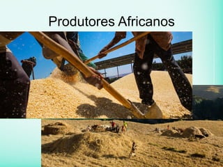 Produtores Africanos
 