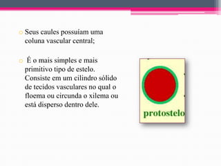 o Seus caules possuíam uma
coluna vascular central;
o É o mais simples e mais
primitivo tipo de estelo.
Consiste em um cilindro sólido
de tecidos vasculares no qual o
floema ou circunda o xilema ou
está disperso dentro dele.

 