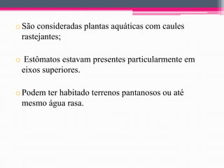 o São consideradas plantas aquáticas com caules
rastejantes;

o Estômatos estavam presentes particularmente em
eixos superiores.
o Podem ter habitado terrenos pantanosos ou até
mesmo água rasa.

 