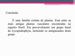 Conclusão
É uma família extinta de plantas. Está entre as
mais antigas plantas vasculares encontradas no
registro fóssil. Era provavelmente um grupo basal
de Lycopodiophyta, incluindo os antepassados deste
grupo.

 