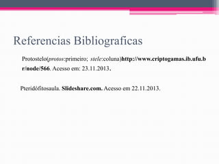 Referencias Bibliograficas
Protostelo(protos:primeiro; stele:coluna)http://www.criptogamas.ib.ufu.b
r/node/566. Acesso em: 23.11.2013.
Pteridófitosaula. Slideshare.com. Acesso em 22.11.2013.

 