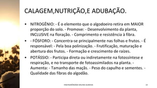CALAGEM,NUTRIÇÃO,E ADUBAÇÃO.
• NITROGÊNIO: - É o elemento que o algodoeiro retira em MAIOR
proporção do solo. - Promove: - Desenvolvimento da planta,
INCLUSIVE na floração. - Comprimento e resistência à fibra.
• - FÓSFORO: - Concentra-se principalmente nas folhas e frutos. - É
responsável: - Pela boa polinização. - Frutificação, maturação e
abertura dos frutos. - Formação e crescimento de raízes.
• POTÁSSIO: - Participa direta ou indiretamente na fotossíntese e
respiração, e no transporte de fotoassimilados na planta. -
Aumenta: - Tamanho das maçãs. - Peso do capulho e sementes. -
Qualidade das fibras do algodão.
Jan-23 ENGªAGRÔNOMA MILENA ALMEIDA 14
 