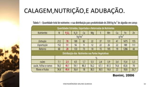 CALAGEM,NUTRIÇÃO,E ADUBAÇÃO.
Jan-23 ENGªAGRÔNOMA MILENA ALMEIDA 16
 