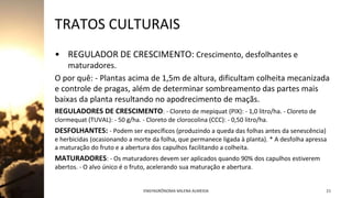 TRATOS CULTURAIS
• REGULADOR DE CRESCIMENTO: Crescimento, desfolhantes e
maturadores.
O por quê: - Plantas acima de 1,5m de altura, dificultam colheita mecanizada
e controle de pragas, além de determinar sombreamento das partes mais
baixas da planta resultando no apodrecimento de maçãs.
REGULADORES DE CRESCIMENTO: - Cloreto de mepiquat (PIX): - 1,0 litro/ha. - Cloreto de
clormequat (TUVAL): - 50 g/ha. - Cloreto de clorocolina (CCC): - 0,50 litro/ha.
DESFOLHANTES: - Podem ser específicos (produzindo a queda das folhas antes da senescência)
e herbicidas (ocasionando a morte da folha, que permanece ligada à planta). * A desfolha apressa
a maturação do fruto e a abertura dos capulhos facilitando a colheita.
MATURADORES: - Os maturadores devem ser aplicados quando 90% dos capulhos estiverem
abertos. - O alvo único é o fruto, acelerando sua maturação e abertura.
Jan-23 ENGªAGRÔNOMA MILENA ALMEIDA 21
 