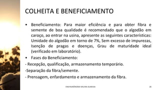 COLHEITA E BENEFICIAMENTO
• Beneficiamento: Para maior eficiência e para obter fibra e
semente de boa qualidade é recomendado que o algodão em
caroço, ao entrar na usina, apresente as seguintes características:
Umidade do algodão em torno de 7%, Sem excesso de impurezas,
Isenção de pragas e doenças, Grau de maturidade ideal
(verificado em laboratório).
• Fases do Beneficiamento:
- Recepção, qualificação, armazenamento temporário.
-Separação da fibra/semente.
- Prensagem, enfardamento e armazenamento da fibra.
Jan-23 ENGªAGRÔNOMA MILENA ALMEIDA 28
 
