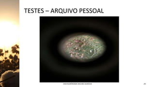 TESTES – ARQUIVO PESSOAL
Jan-23 ENGªAGRÔNOMA MILENA ALMEIDA 29
 