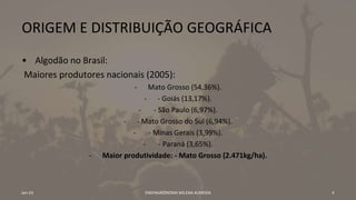 ORIGEM E DISTRIBUIÇÃO GEOGRÁFICA
• Algodão no Brasil:
Maiores produtores nacionais (2005):
- Mato Grosso (54,36%).
- - Goiás (13,17%).
- - São Paulo (6,97%).
- - Mato Grosso do Sul (6,94%).
- - Minas Gerais (3,99%).
- - Paraná (3,65%).
- Maior produtividade: - Mato Grosso (2.471kg/ha).
Jan-23 ENGªAGRÔNOMA MILENA ALMEIDA 4
 
