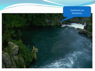 Ambiente em
harmonia.

 