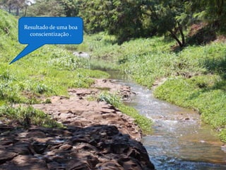 Resultado de uma boa
conscientização .

 