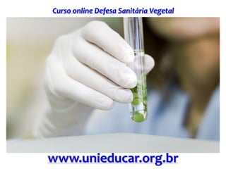 Curso online Defesa Sanitária Vegetal
www.unieducar.org.br
 