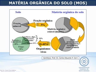 MATÉRIA ORGÂNICA DO SOLO (MOS)
Gentileza: Prof. Dr. Carlos Eduardo P. Cerri
 