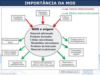 IMPORTÂNCIA DA MOS
FONTE: slydeplayer.com.br
 