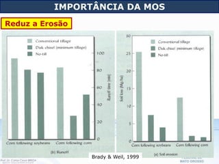 Brady & Weil, 1999
IMPORTÂNCIA DA MOS
Reduz a Erosão
 