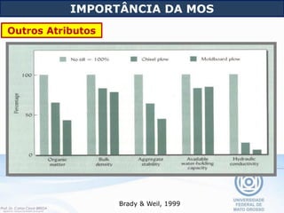 IMPORTÂNCIA DA MOS
Brady & Weil, 1999
Outros Atributos
 
