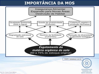 IMPORTÂNCIA DA MOS
FONTE: slydeplayer.com.br
 