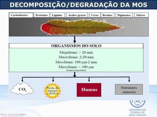 DECOMPOSIÇÃO/DEGRADAÇÃO DA MOS
 