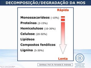 Monossacarídeos (-10%)
Proteínas (2-15%)
Hemicelulose (10-30%)
Celulose (20-50%)
Lipídeos
Compostos fenólicos
Lignina (5-30%)
Lenta
Rápida
DECOMPOSIÇÃO/DEGRADAÇÃO DA MOS
Gentileza: Prof. Dr. Fernando D. Andreote
 