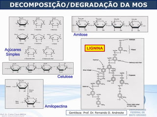 Açúcares
Simples
Celulose
Amilose
Amilopectina
LIGNINA
DECOMPOSIÇÃO/DEGRADAÇÃO DA MOS
Gentileza: Prof. Dr. Fernando D. Andreote
 