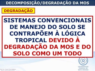 SISTEMAS CONVENCIONAIS
DE MANEJO DO SOLO SE
CONTRAPÕEM À LÓGICA
TROPICAL DEVIDO À
DEGRADAÇÃO DA MOS E DO
SOLO COMO UM TODO
DECOMPOSIÇÃO/DEGRADAÇÃO DA MOS
DEGRADAÇÃO
 