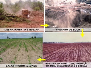 BAIXA PRODUTIVIDADE
RUPTURA DA ESTRUTURA, OXIDAÇÃO
DA MOS, DESAGREGAÇÃO E EROSÃO
PREPARO DE SOLO
DESMATAMENTO E QUEIMA
 