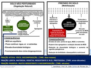 Litter +
raizes
Fluxo
contínuo de
CARBONO
Fração Ativa
Fração Lenta
Fração Passiva
Agregação
Porosidade
contínua
ELEVADA
ESTABILIDADE
AGREGADOS
CONSEQUÊNCIAS
- MOS em equilíbrio
- Fluxo contínuo: água, ar e nutrientes
- Elevada diversidade biológica
SOLO NÃO PERTURBADO
(Vegetação Natural)
- Funcionamento dos ciclos biogeoquímicos
Quebra da
estrutura e
ruptura dos
agregados
Exposição de
material facilmente
decomponível ao
ataque da microbiota
Elevado
consumo da MOS
pela microbiota
do solo
Partículas e
microagregados
dispersos
PREPARO DO SOLO
(Mobilização)
BAIXA
ESTABILIDADE
AGREGADOS
- Redução da fertilidade e desequelíbrio nutricional
- Redução da diversidade biológica e aumento de
agentes patogênicos
CONSEQUÊNCIAS
- Erosão do solo: perda de água, MOS e nutrientes
- Ruptura dos agregados e oxidação elevada da MOS
FRAÇÃO ATIVA: FÁCIL DECOMPOSIÇÃO. (TMR: dias-meses)
FRAÇÃO LENTA: MATERIAL VEGETAL RESISTENTE E M.O. PROTEGIDA. (TMR: anos-décadas)
FRAÇÃO PASSIVA: MUITO RESISTENTE À DECOMPOSIÇÃO. (TMR: séculos)
Gentileza: Prof. Dr. João Carlos de Moraes Sá
 