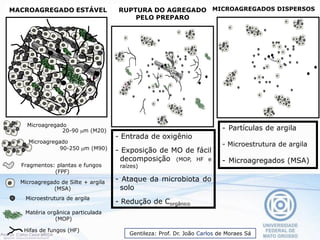 Microestrutura de argila
Matéria orgânica particulada
(MOP)
Hifas de fungos (HF)
Fragmentos: plantas e fungos
(FPF)
Microagregado de Silte + argila
(MSA)
Microagregado
20-90 m (M20)
MACROAGREGADO ESTÁVEL RUPTURA DO AGREGADO
PELO PREPARO
- Entrada de oxigênio
- Exposição de MO de fácil
decomposição (MOP, HF e
raízes)
- Ataque da microbiota do
solo
- Redução de Corgânico
Microagregado
90-250 m (M90)
MICROAGREGADOS DISPERSOS
- Partículas de argila
- Microestrutura de argila
- Microagregados (MSA)
Gentileza: Prof. Dr. João Carlos de Moraes Sá
 