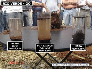 RIO VERDE - GO
MATA
MO=4,8%
PD - 12 ANOS
(sj+mlh)
MO=2,3%
PASTO
(brq)
MO=3,6%
Gentileza: Prof. Dr. João Carlos de Moraes Sá
 