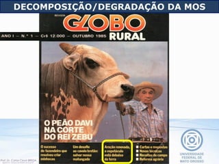 DECOMPOSIÇÃO/DEGRADAÇÃO DA MOS
 